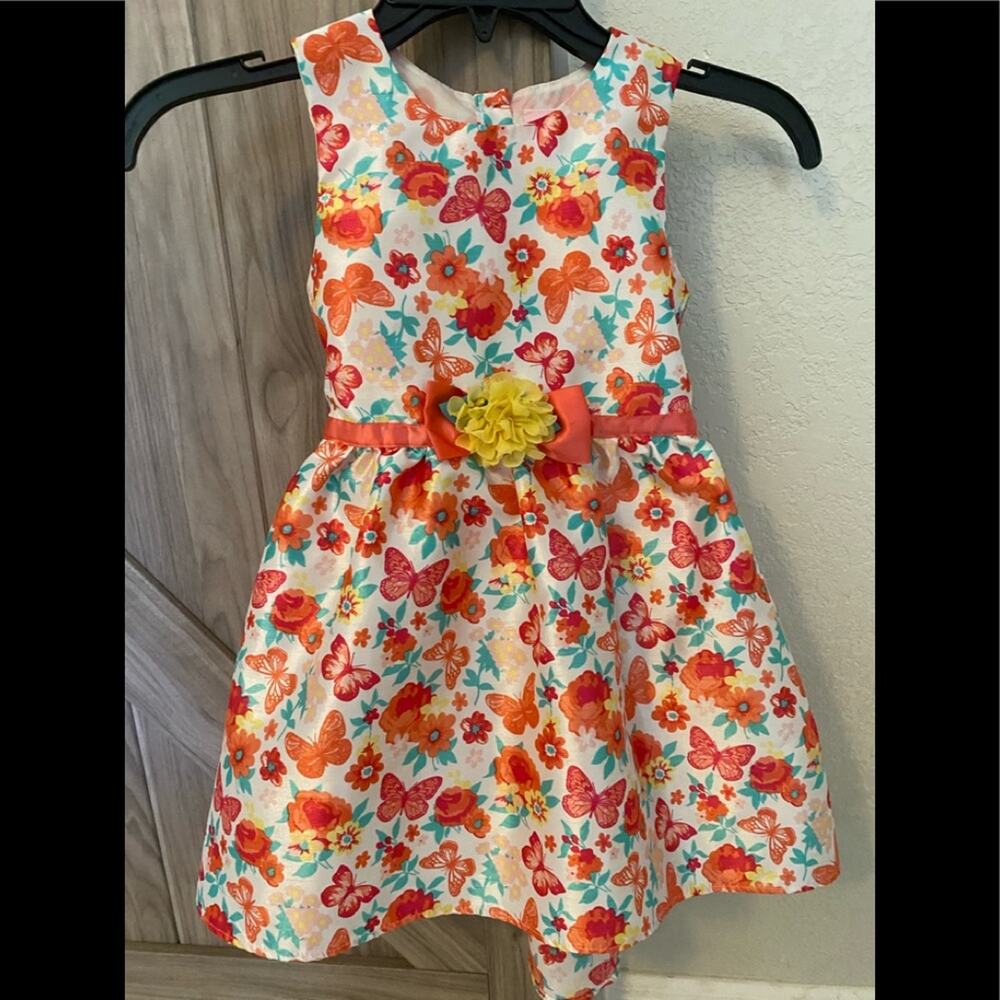 Little lass Dress butterflies and flowers
